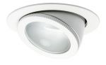 Downlight 253